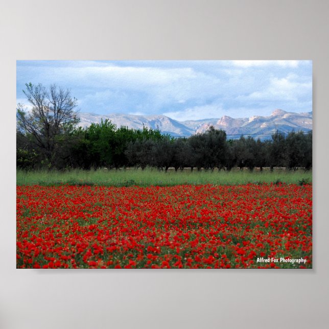Affiche Le champ de coquelicots (Devant)
