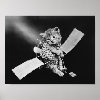 Affiche Le chat aviateur - Harry Whittier Frees
