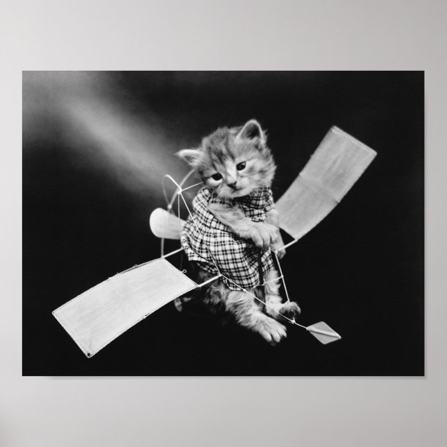 Affiche Le chat aviateur - Harry Whittier Frees (Devant)