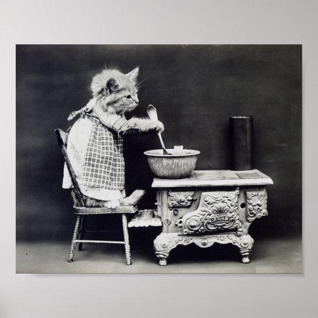 Affiche Le Chat Cook Funny Harry Whittier Frees 1914 (Devant)