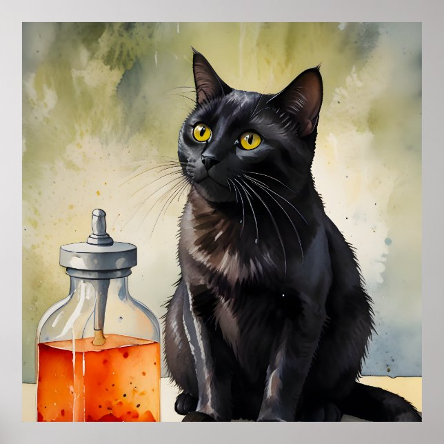 Affiche Le chat de l'alchimiste (Devant)