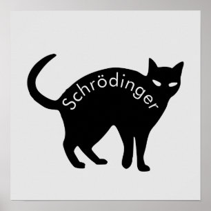 Affiche Le chat de Schrödinger