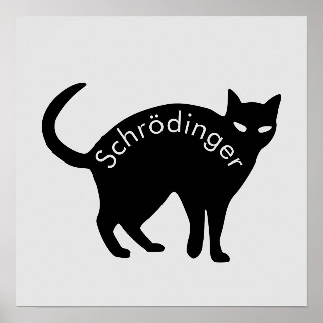 Affiche Le chat de Schrödinger (Devant)