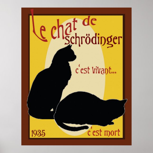 Affiche Le chat de Schrodinger (Devant)
