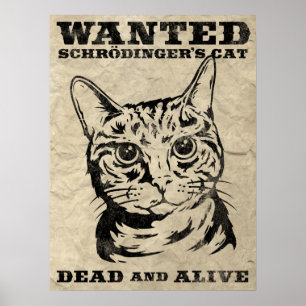Affiche Le chat de Schrodinger voulait mort ou vivant