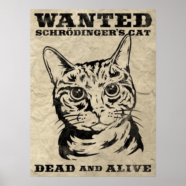 Affiche Le chat de Schrodinger voulait mort ou vivant (Devant)