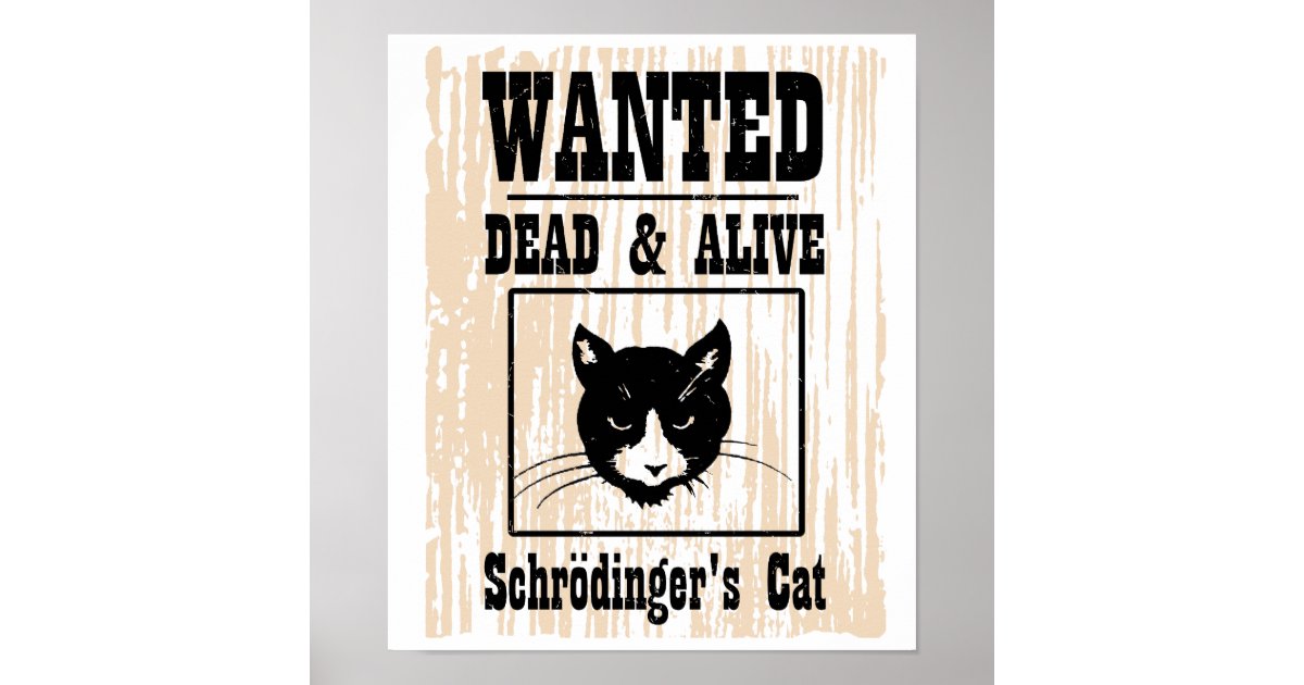Chat De Schrodinger Pour Les Nuls Affiche Le chat Recherché de Schrodinger | Zazzle.fr