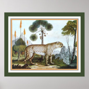 Affiche "Le Cheetah" 1886 par Aloys Zotl