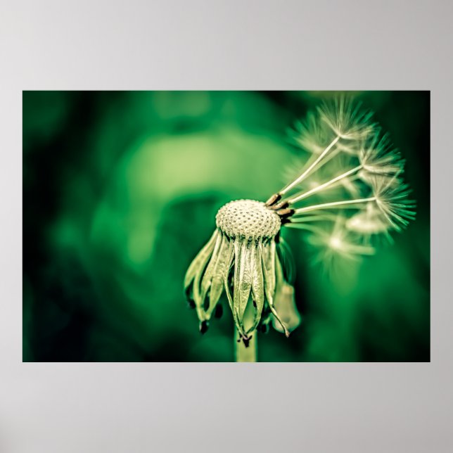 Affiche Le chef (Devant)