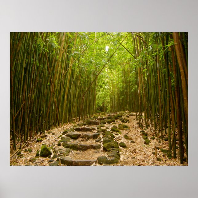 Affiche Le chemin (Devant)