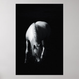 Affiche Le cheval blanc