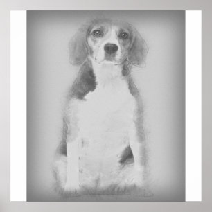 Affiche Le Chien Beagle Est Dessiné Avec Un Crayon