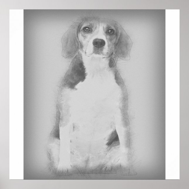 Affiche Le Chien Beagle Est Dessiné Avec Un Crayon (Devant)