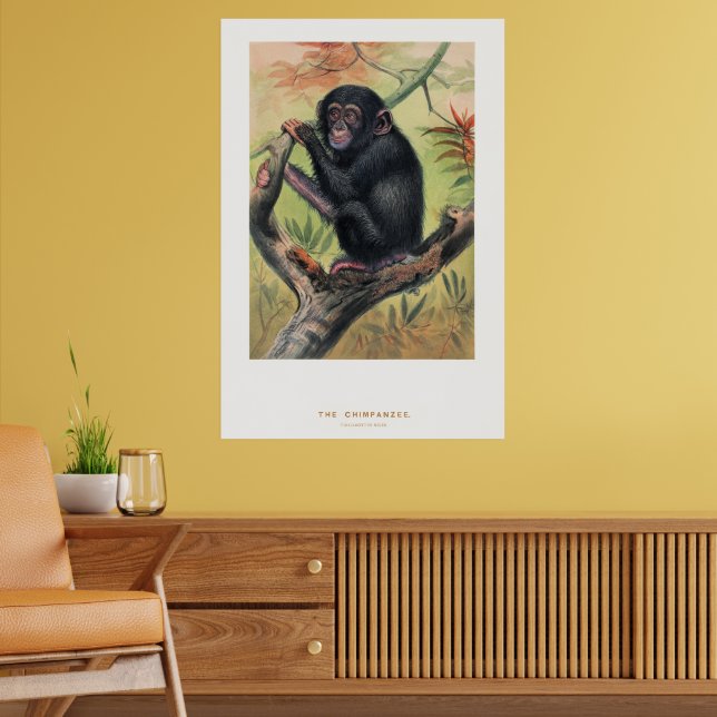 Affiche Le Chimpanzé, Esquisses Zoologiques, (Salon 2)