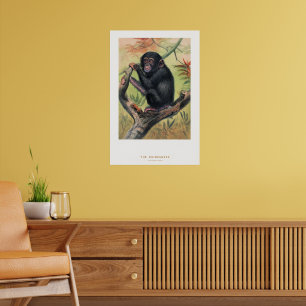 Affiche Le Chimpanzé, Esquisses Zoologiques,