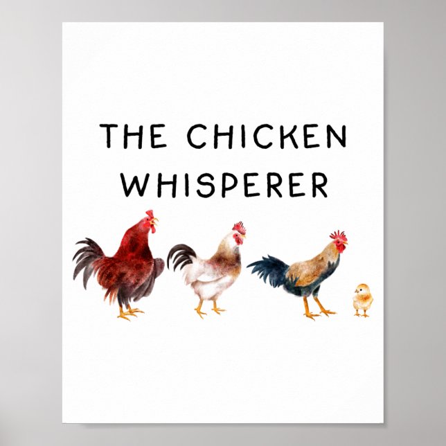 Affiche Le Chuchoteur de Poulet Drôle  (Devant)