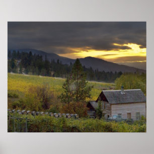 Affiche Le ciel couché sur les vignes et le cabine histori