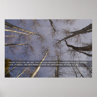 Affiche Le ciel n'est pas la limite...