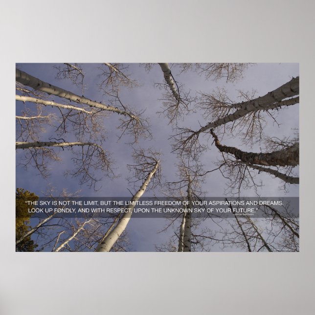 Affiche Le ciel n'est pas la limite... (Devant)