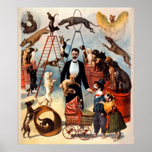 Affiche Le cirque 1899 qualifié d'acte de chien poursuit