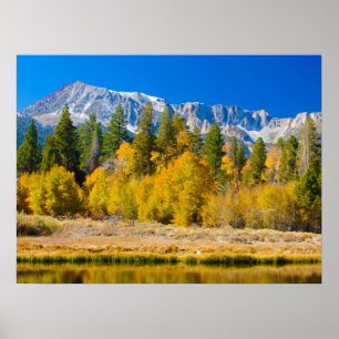 Affiche Le col Tioga du Parc national du Yosemite