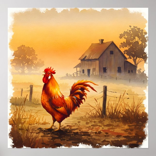 Affiche Le coq dans la ferme légère du matin (Devant)