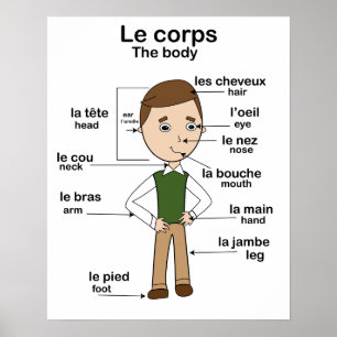 Affiche Le corps the body French English Educational