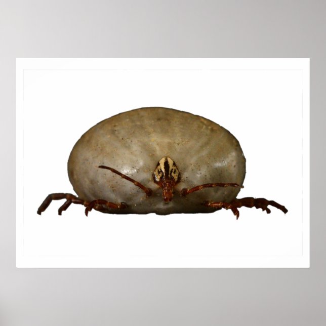 Affiche Le coup (Devant)