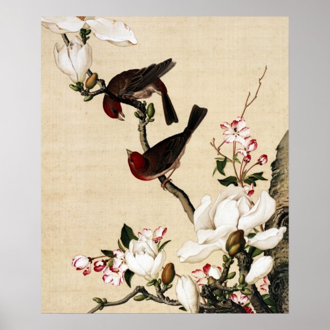 Affiche Le Crabappé et le Magnolia Fine Art (Devant)