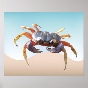 Affiche Le crabe sur la plage