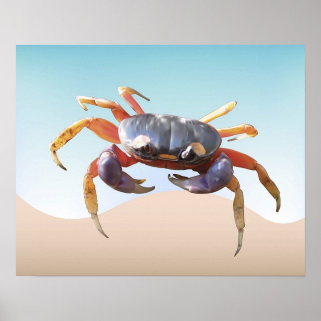 Affiche Le crabe sur la plage (Devant)