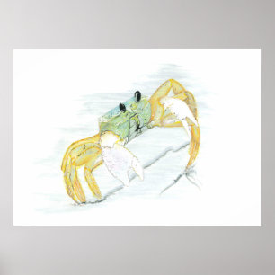 Affiche Le crabe sur la plage
