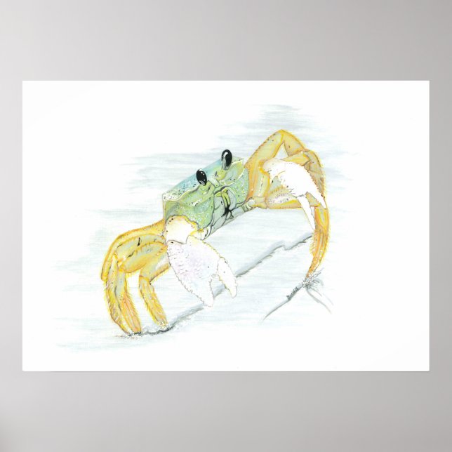 Affiche Le crabe sur la plage (Devant)
