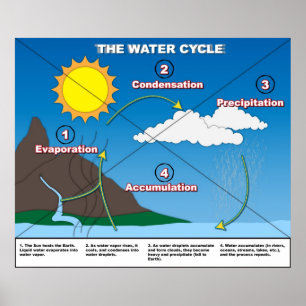 Affiche Le cycle de l'eau