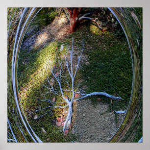 Affiche Le cycle de vie....