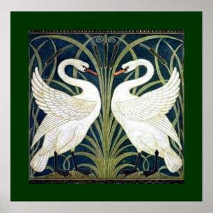 Affiche Le cygne et la précipitation et l'iris wallpaper