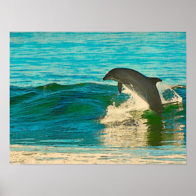 Affiche Le dauphin est mon esprit animal (Devant)