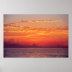 Affiche Le dauphin saute au lever du soleil