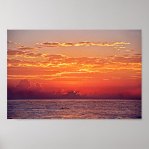 Affiche Le dauphin saute au lever du soleil