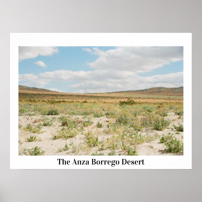 Affiche Le désert d'Anza Borrego (Devant)
