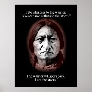 Affiche "Le destin murmure au guerrier"