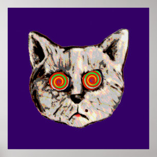 Affiche le drôle de chat fou