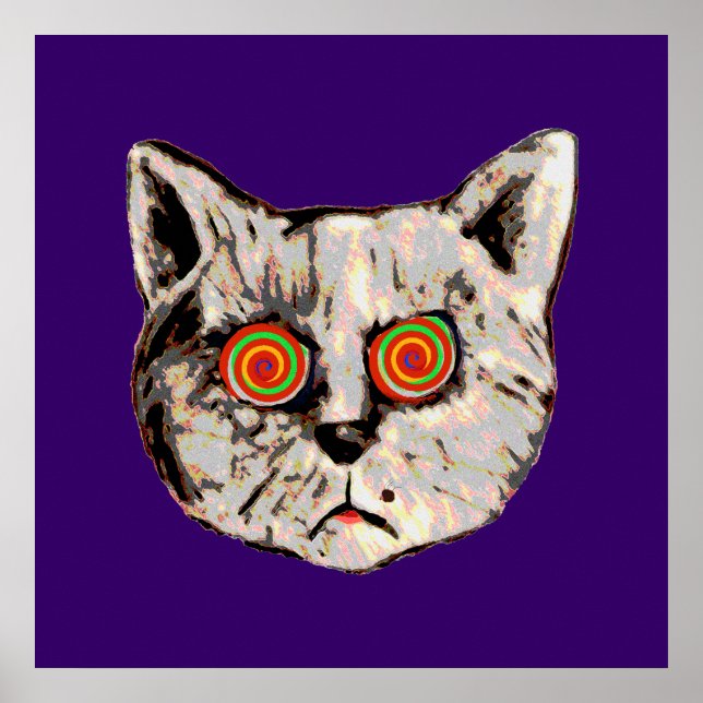 Affiche le drôle de chat fou (Devant)