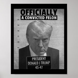 Affiche Le Drôle Président Trump Est Officiellement Une Fé