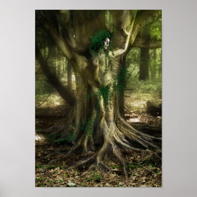 Affiche Le Dryad (Devant)