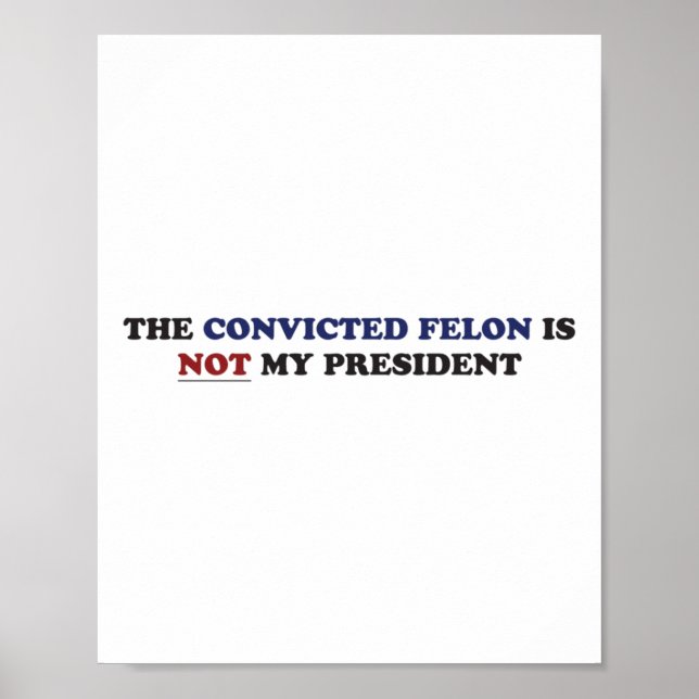 Affiche Le Felon Condamné N'Est Pas Mon Président Funny Po (Devant)