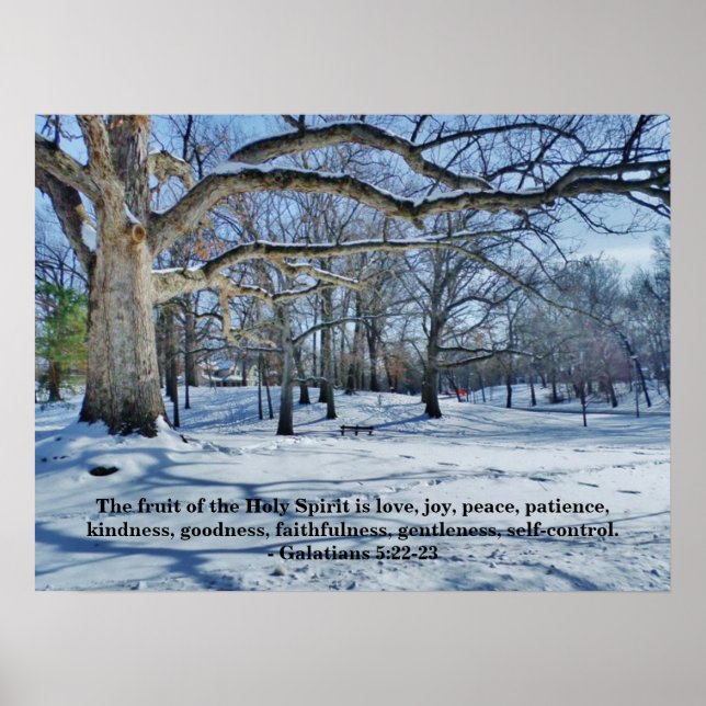 AFFICHE LE FRUIT DE L'ESPRIT (Devant)