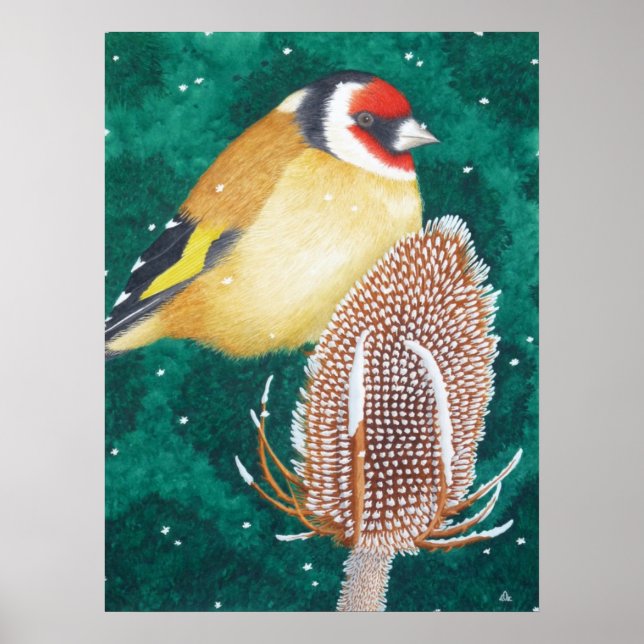 Affiche Le Goldfinch européen (Devant)