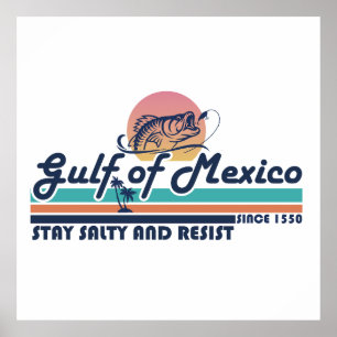 Affiche Le golfe du Mexique reste salé et résiste à la pêc