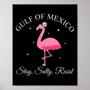 Affiche Le Golfe Du Mexique Reste Sally Résister